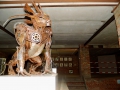 Haus 5