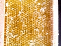 20160609_140051