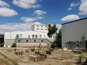 Monopol Leipzig Kunst und Natur