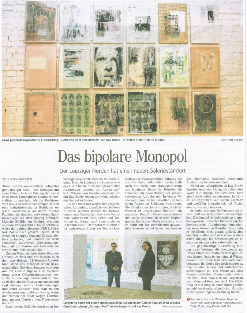 LVZ Artikel vom 8.10.2015 Jens Kassner