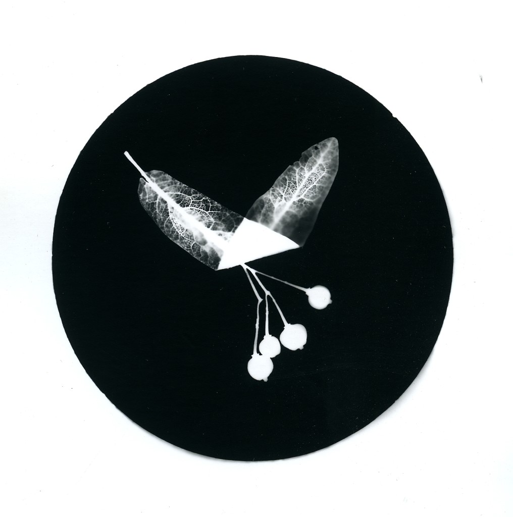 Sinje-Faby_Bilder-in-Zeichen_Hamann1760_Lindenvogel2015